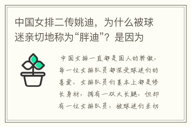 中国女排二传姚迪,为什么被球迷亲切地称为“胖迪”?是因为她胖吗?