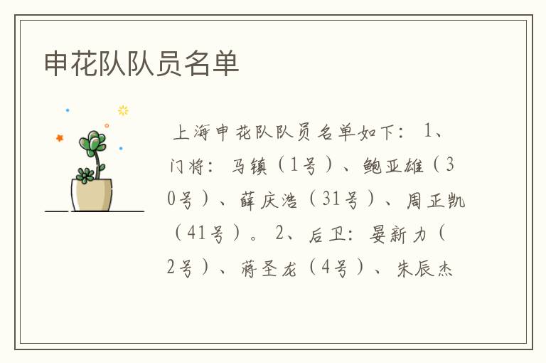 申花队队员名单