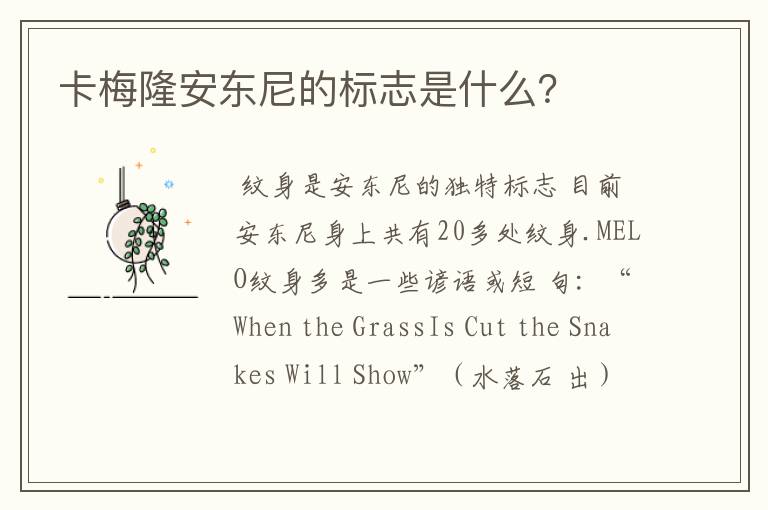 卡梅隆安东尼的标志是什么?