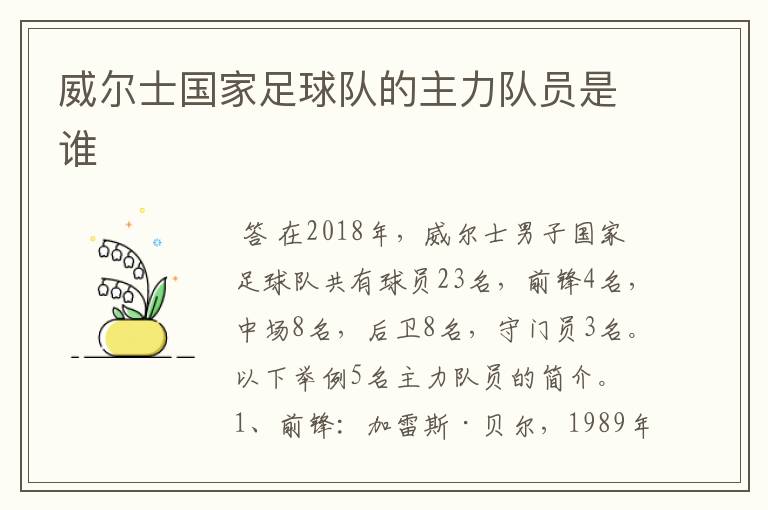 威尔士国家足球队的主力队员是谁