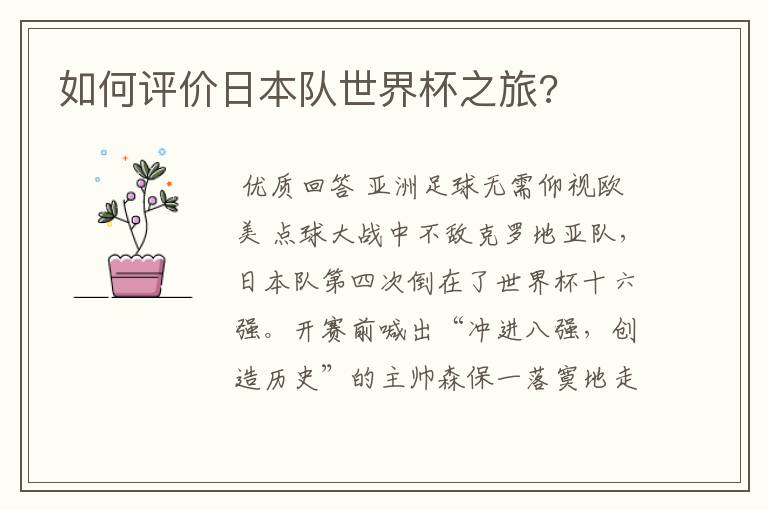 如何评价日本队世界杯之旅?