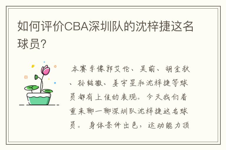 如何评价CBA深圳队的沈梓捷这名球员?