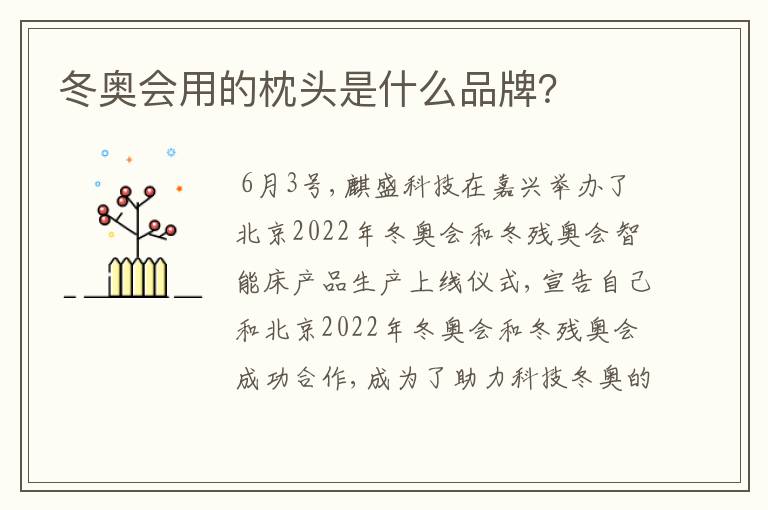 冬奥会用的枕头是什么品牌?