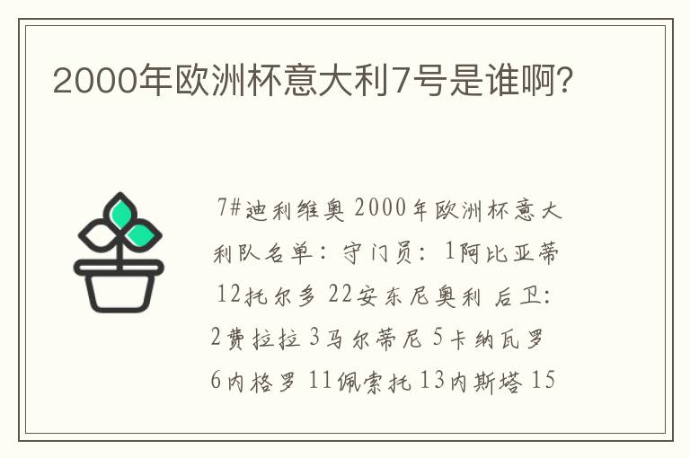 2000年欧洲杯意大利7号是谁啊?