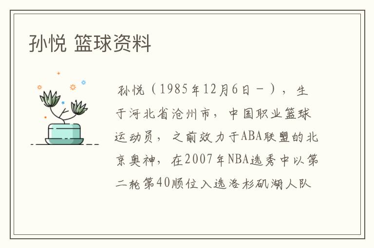 孙悦 篮球资料