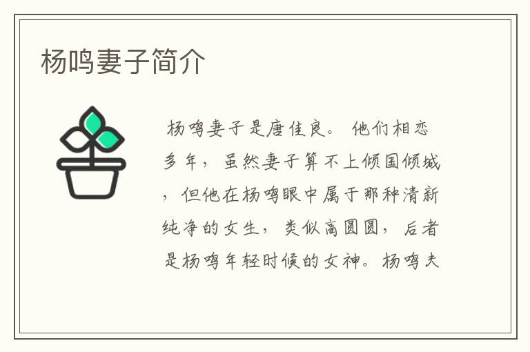 杨鸣妻子简介