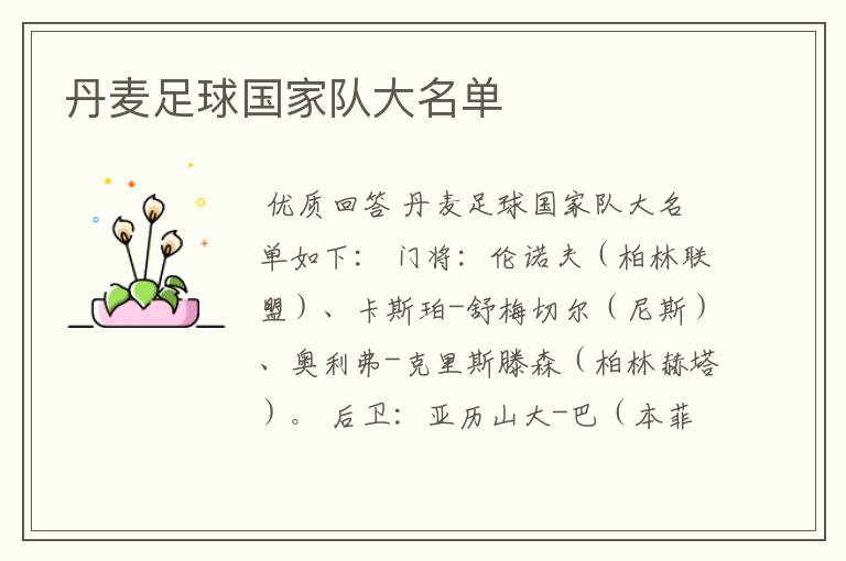 丹麦足球国家队大名单