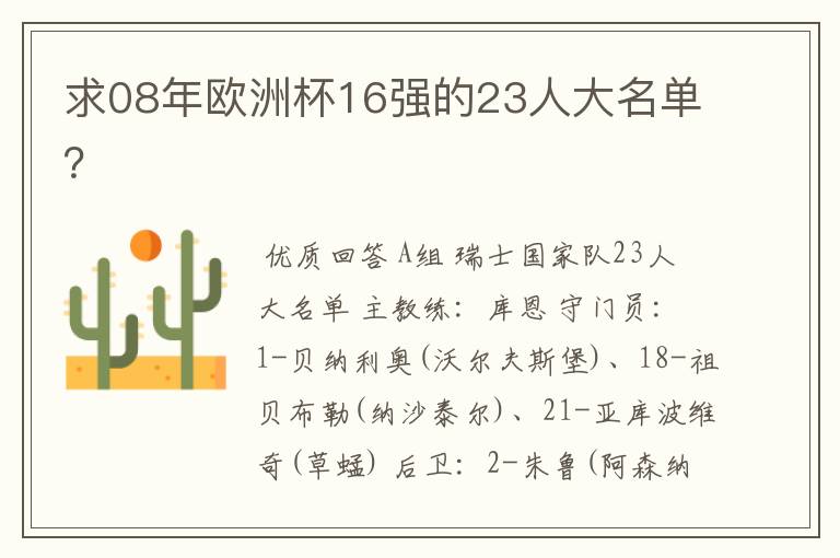 求08年欧洲杯16强的23人大名单?