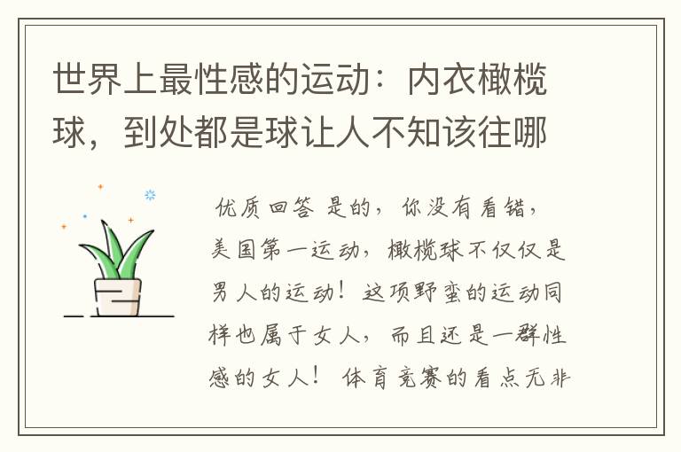 世界上最性感的运动:内衣橄榄球,到处都是球让人不知该往哪里看