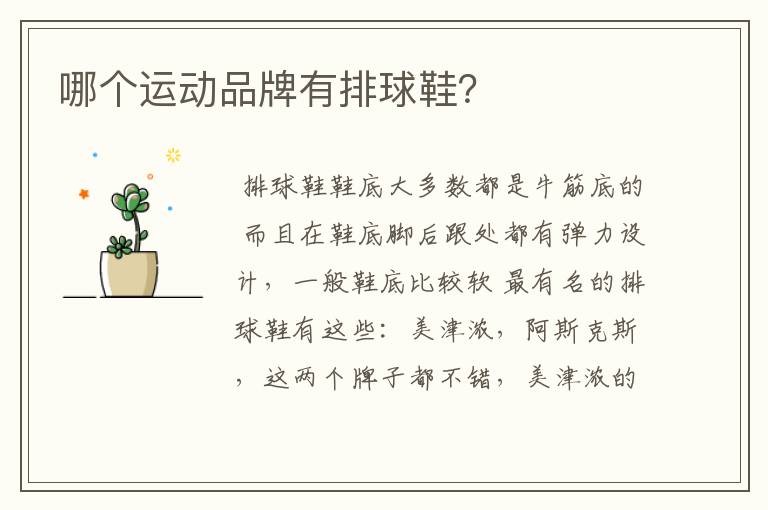 哪个运动品牌有排球鞋?