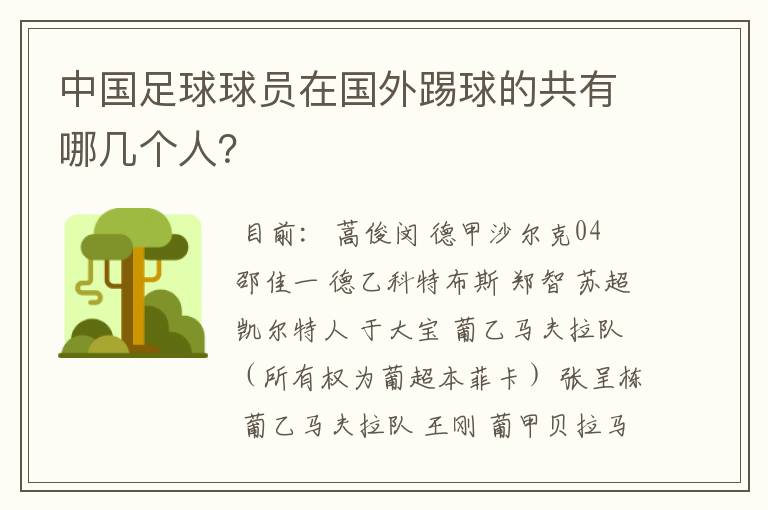 中国足球球员在国外踢球的共有哪几个人?