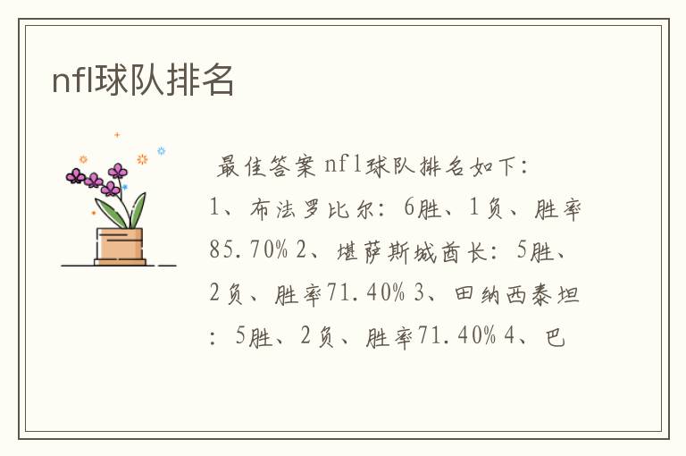 nfl球队排名