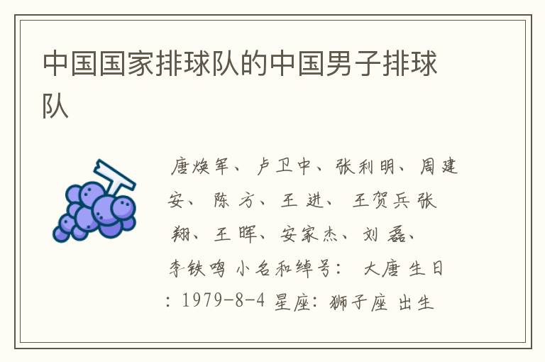 中国国家排球队的中国男子排球队