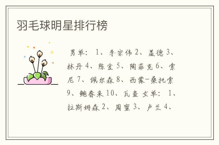 羽毛球明星排行榜