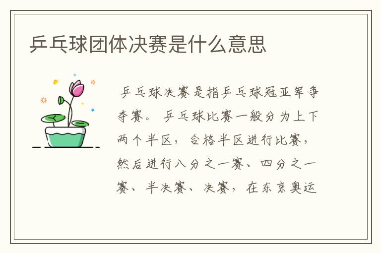 乒乓球团体决赛是什么意思