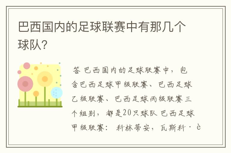 巴西国内的足球联赛中有那几个球队?