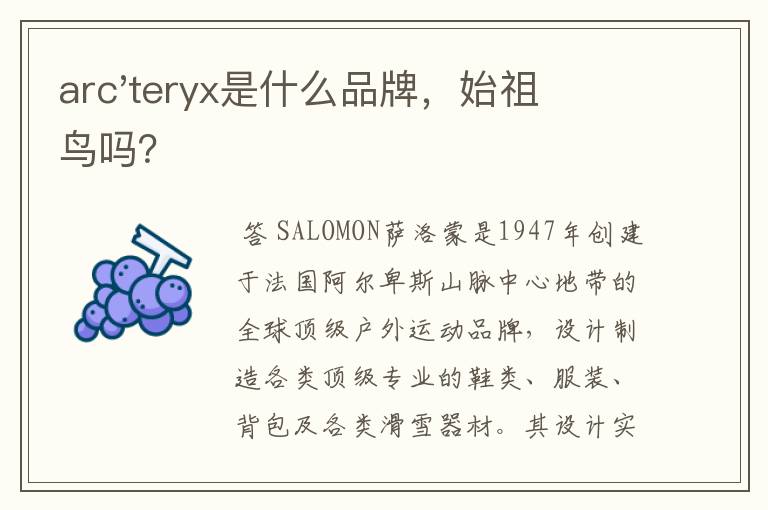 arc'teryx是什么品牌,始祖鸟吗?