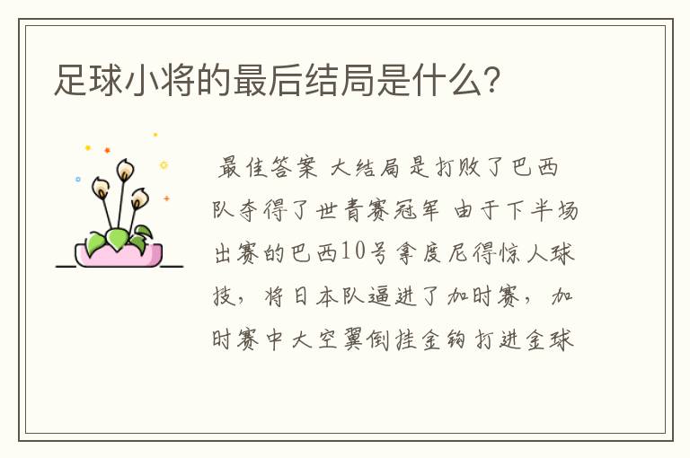 足球小将的最后结局是什么?