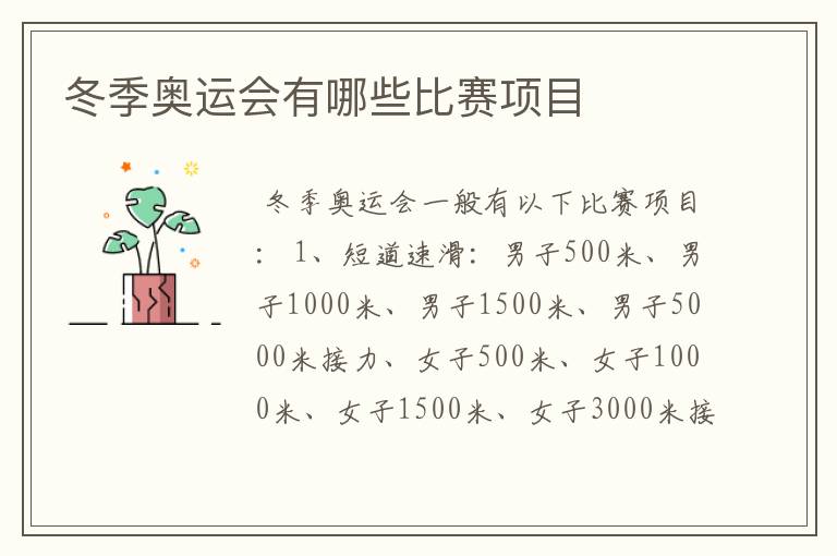 冬季奥运会有哪些比赛项目
