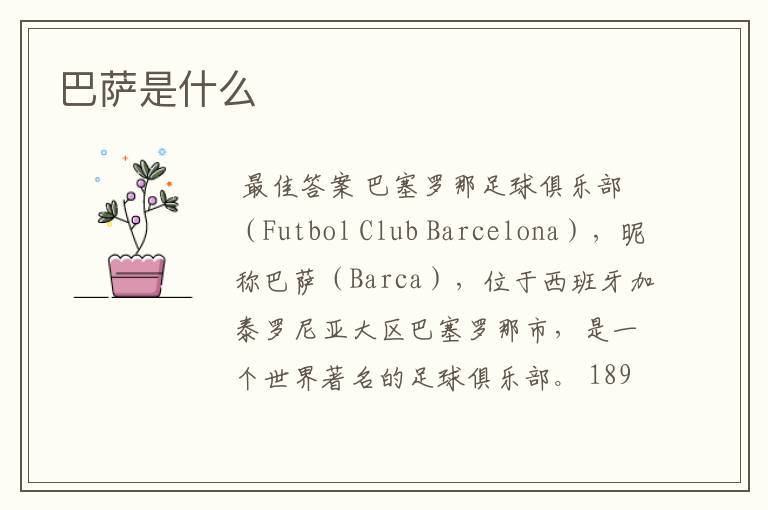 巴萨是什么