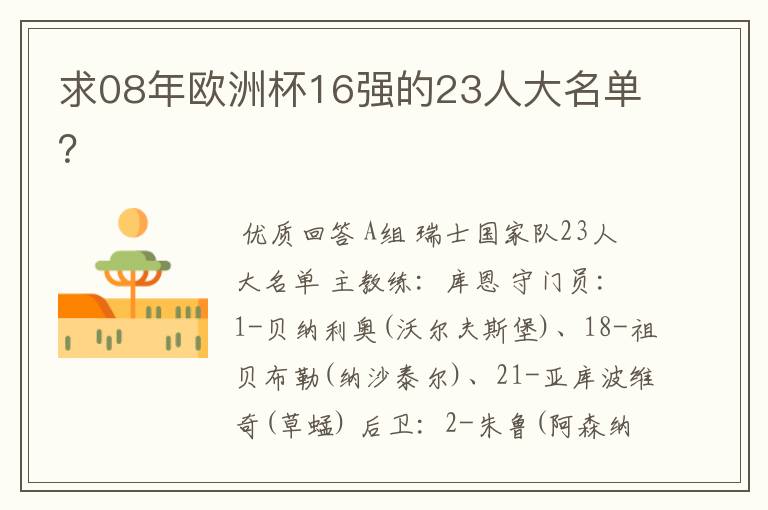 求08年欧洲杯16强的23人大名单?