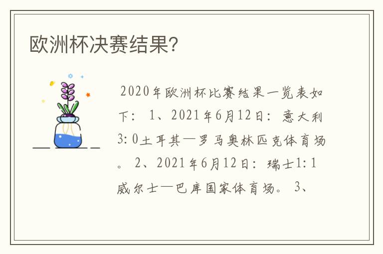 欧洲杯决赛结果?