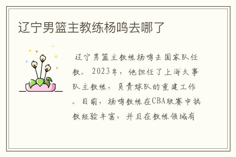 辽宁男篮主教练杨鸣去哪了