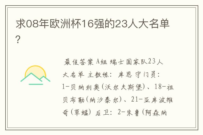 求08年欧洲杯16强的23人大名单?