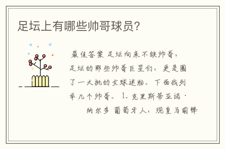 足坛上有哪些帅哥球员?