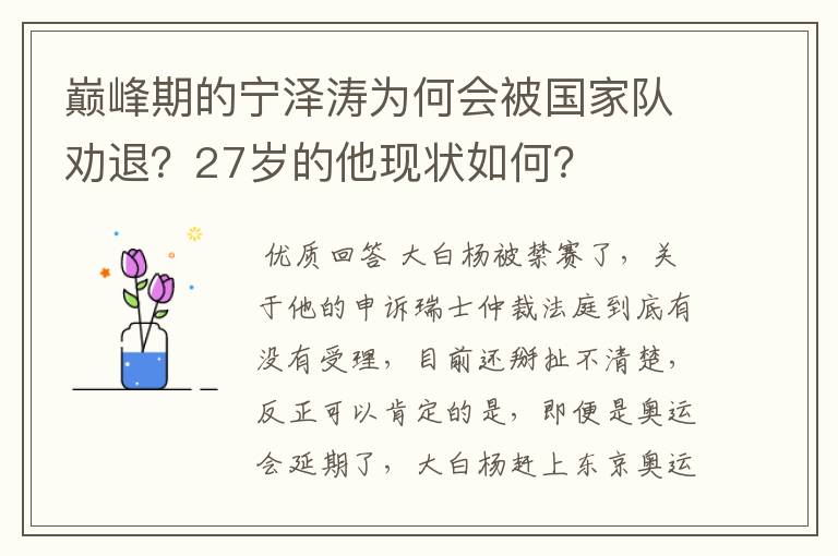 巅峰期的宁泽涛为何会被国家队劝退?27岁的他现状如何?