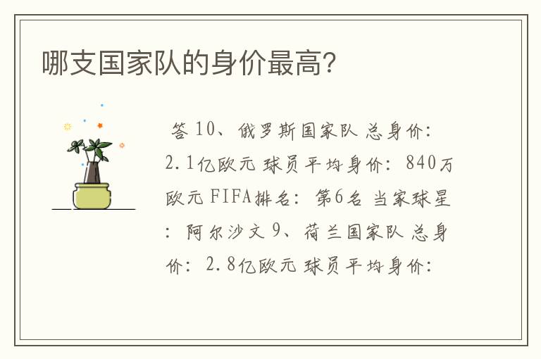 哪支国家队的身价最高?
