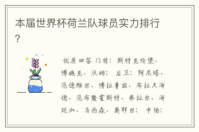 本届世界杯荷兰队球员实力排行?