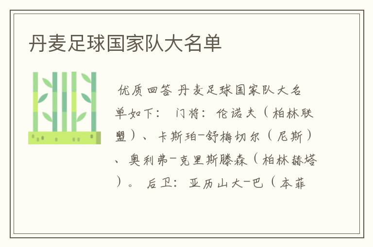 丹麦足球国家队大名单