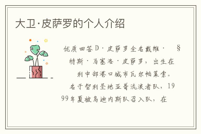 大卫·皮萨罗的个人介绍