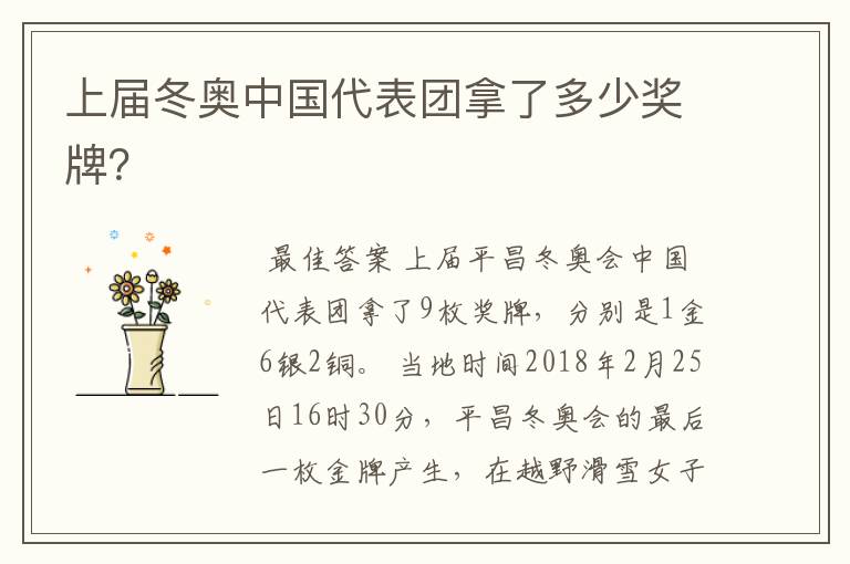 上届冬奥中国代表团拿了多少奖牌?