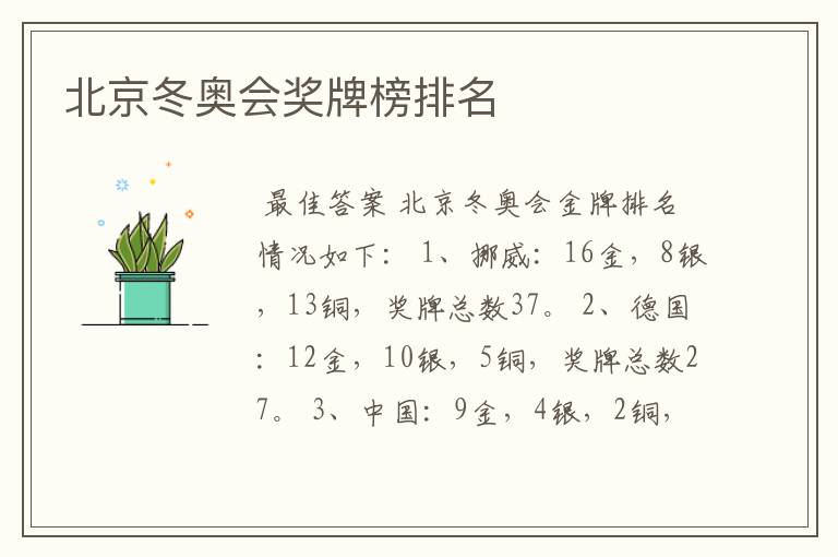 北京冬奥会奖牌榜排名