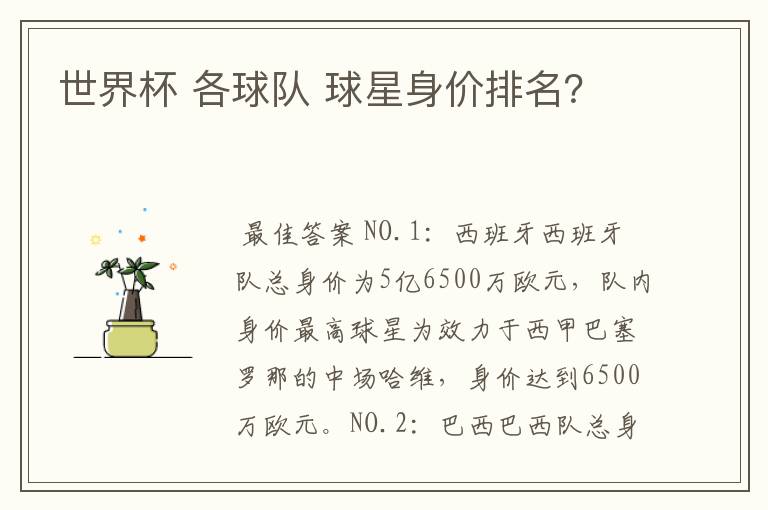 世界杯 各球队 球星身价排名?
