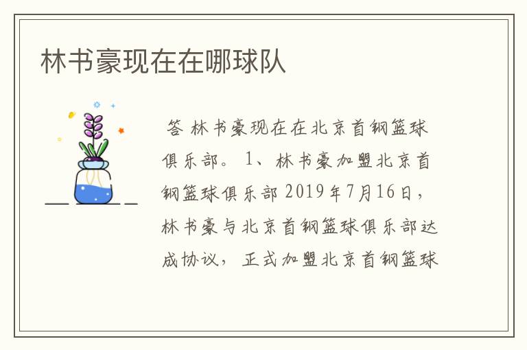林书豪现在在哪球队