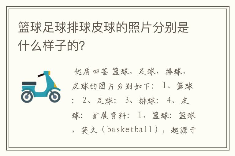 篮球足球排球皮球的照片分别是什么样子的?