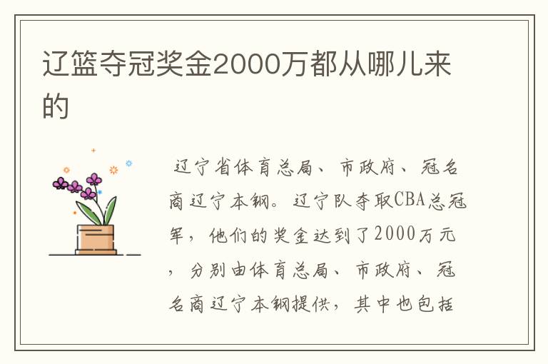 辽篮夺冠奖金2000万都从哪儿来的