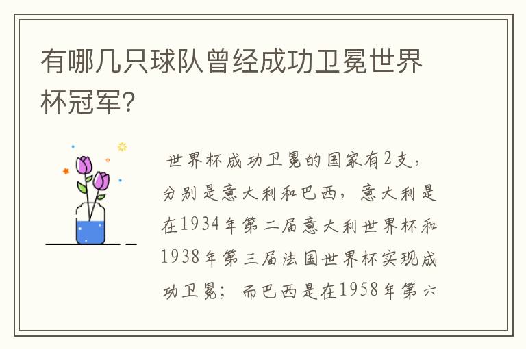 有哪几只球队曾经成功卫冕世界杯冠军?