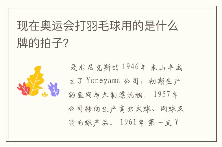 现在奥运会打羽毛球用的是什么牌的拍子?
