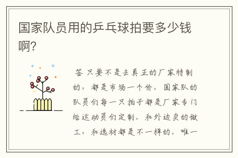 国家队员用的乒乓球拍要多少钱啊?