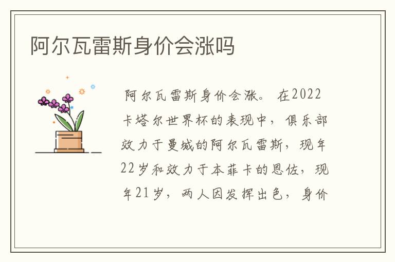 阿尔瓦雷斯身价会涨吗