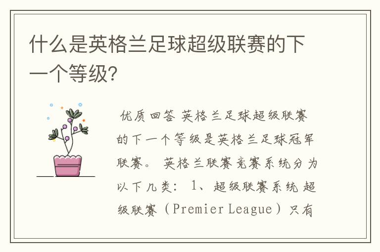 什么是英格兰足球超级联赛的下一个等级?