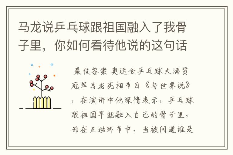 马龙说乒乓球跟祖国融入了我骨子里,你如何看待他说的这句话?