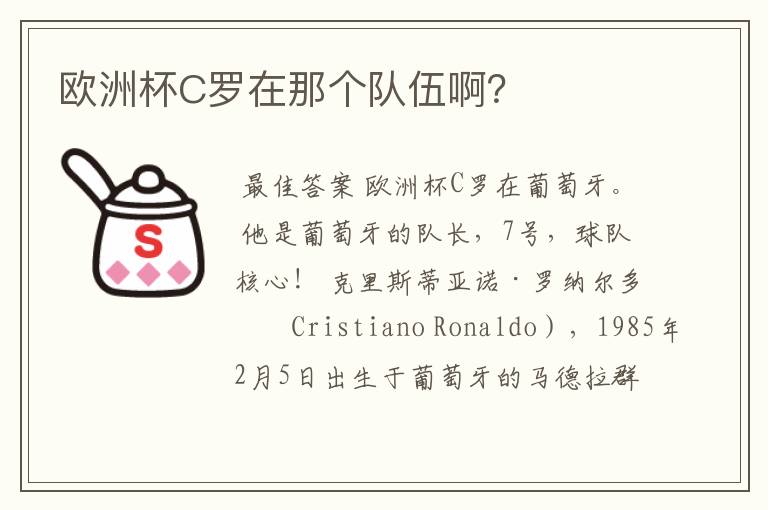 欧洲杯C罗在那个队伍啊?