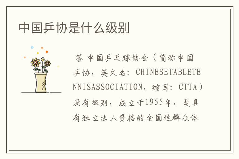 中国乒协是什么级别