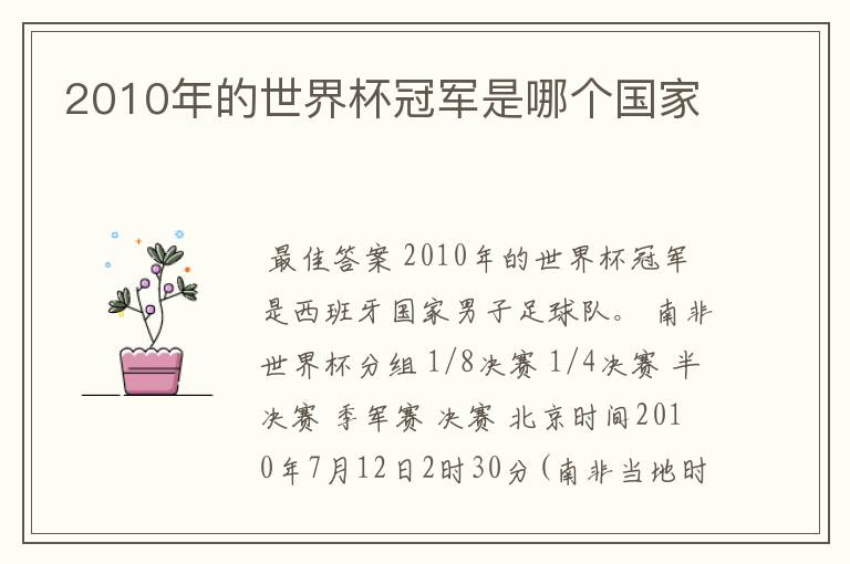 2010年的世界杯冠军是哪个国家