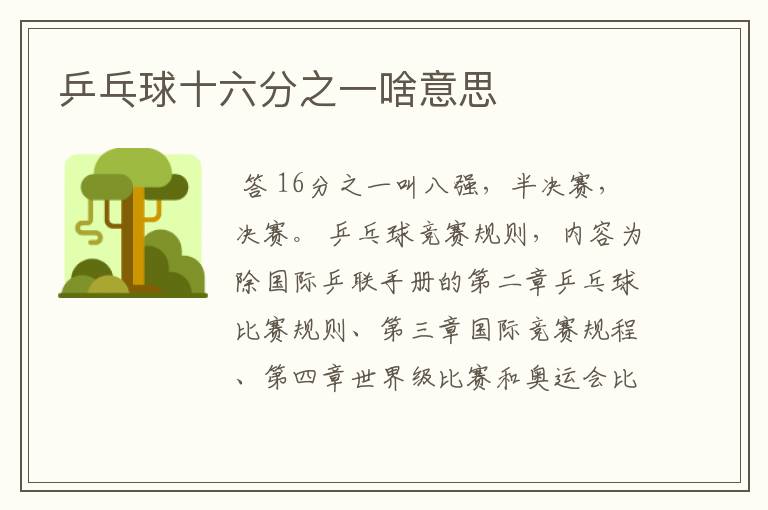乒乓球十六分之一啥意思
